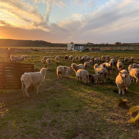 Complejo Cabanas Cerro Redondo Tandil Dış mekan fotoğraf