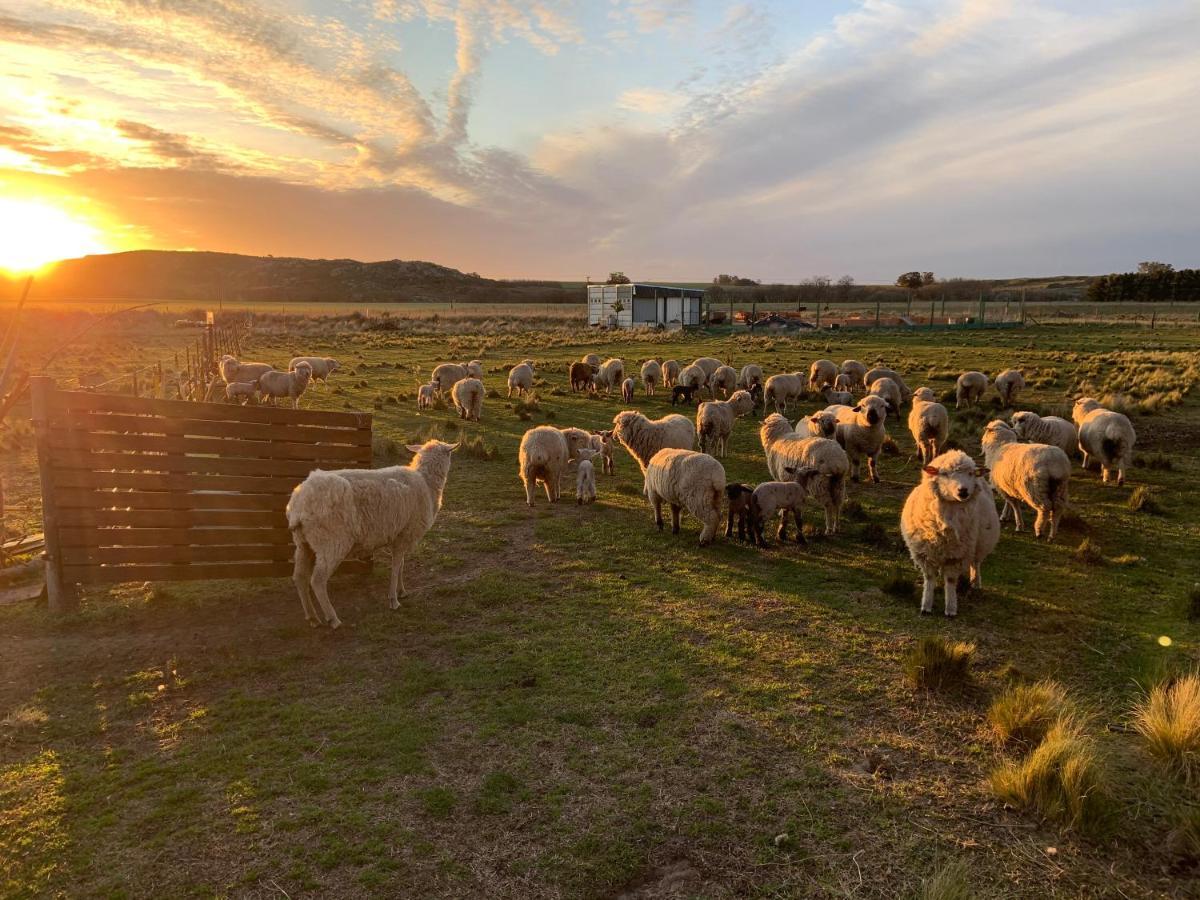 Complejo Cabanas Cerro Redondo Tandil Dış mekan fotoğraf